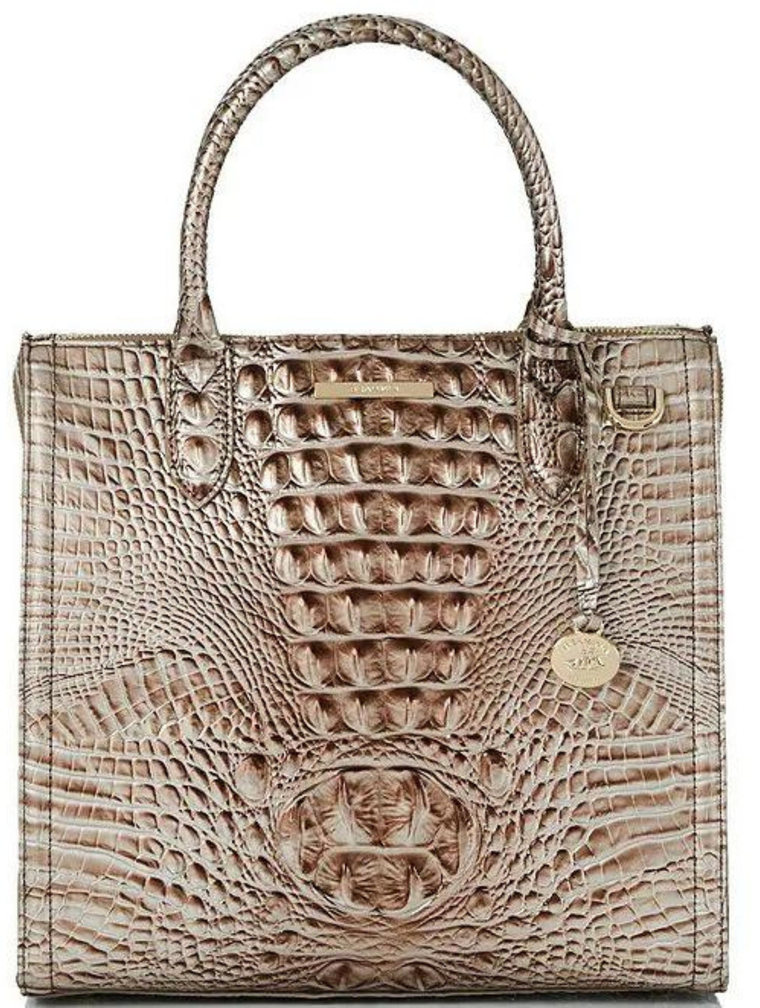 Brahmin Caroline Silver Lining